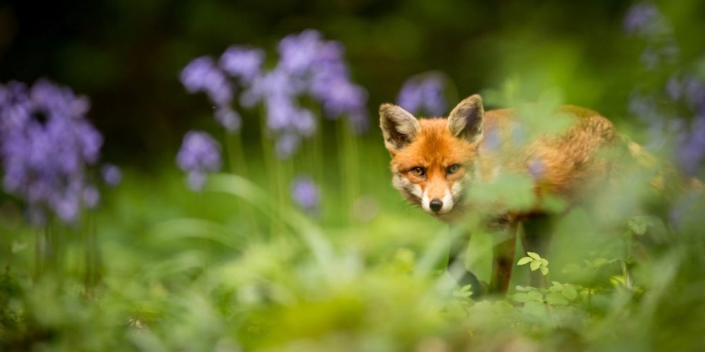 Sykesville, MD 21784